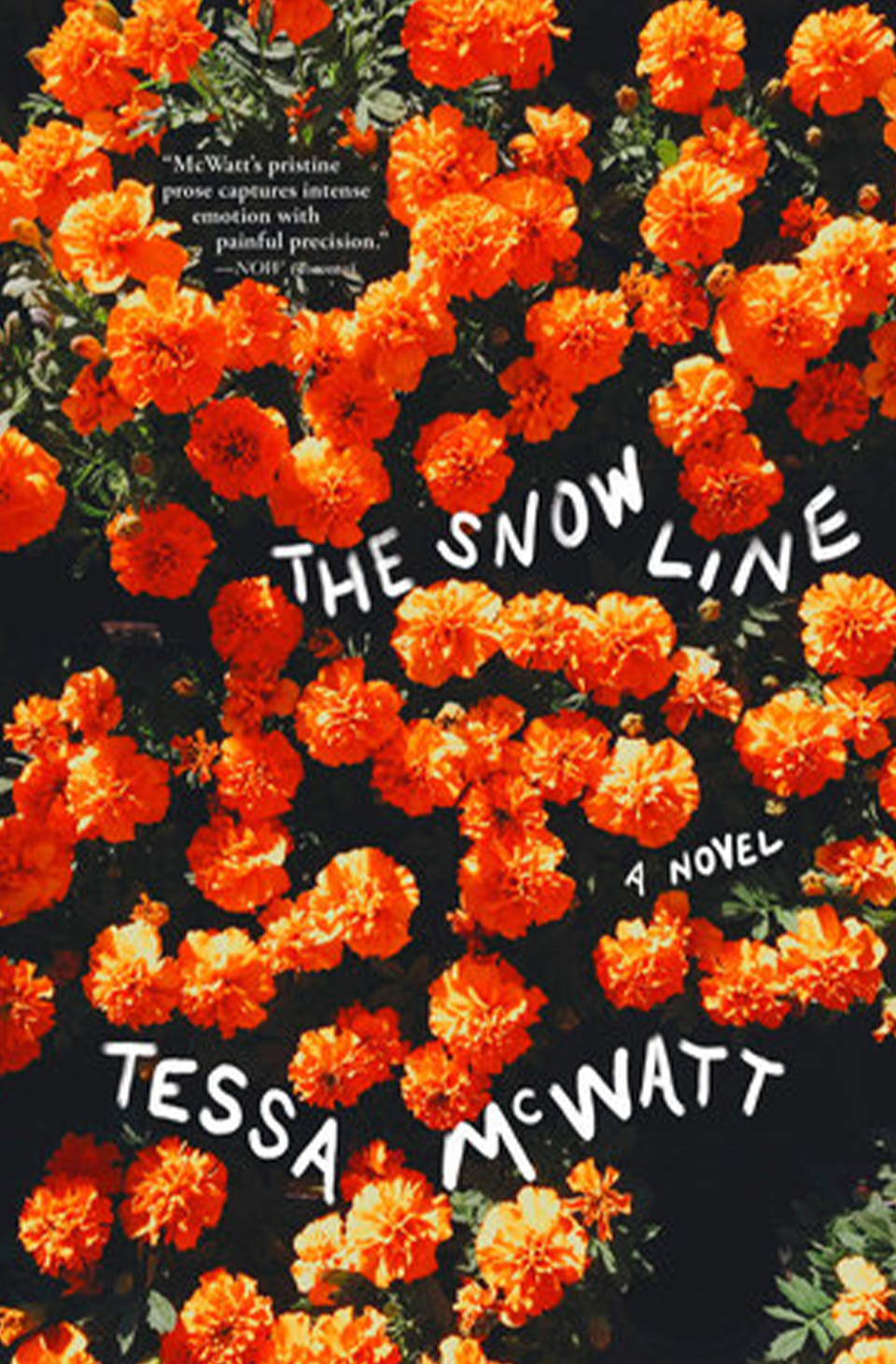 The Snow Line by Tessa McWatt