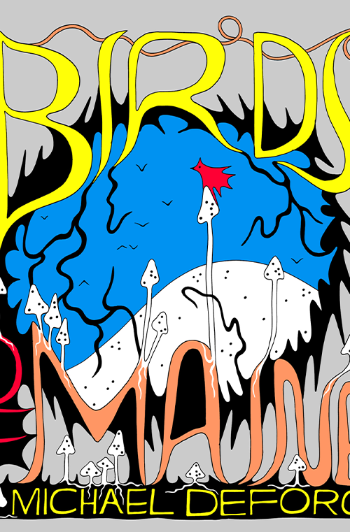 Birds of Maine by Michael DeForge