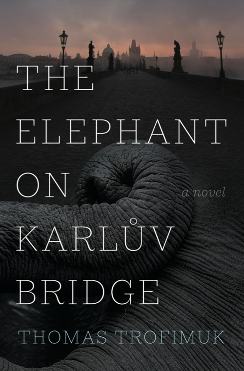 The Elephant on Karlův Bridge by Thomas Trofimuk