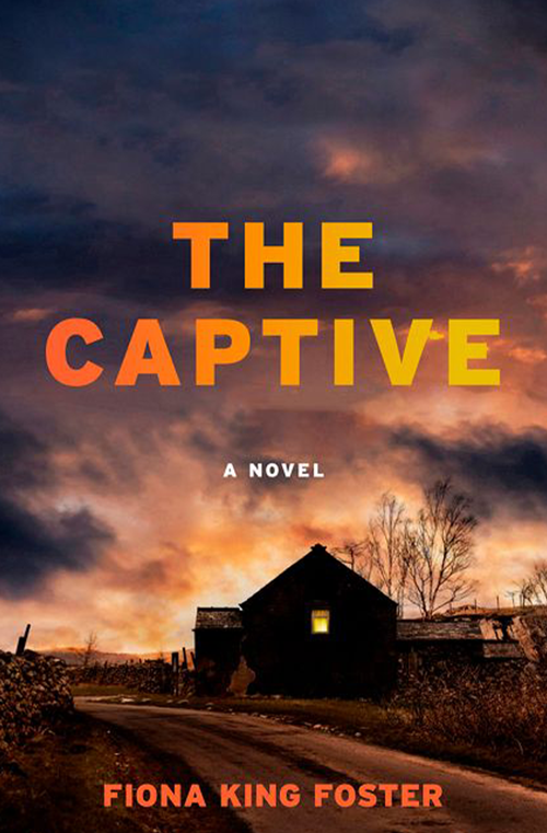 The Captive book cover