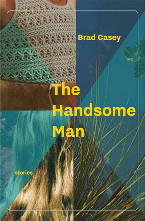 The Handsome Man book cover