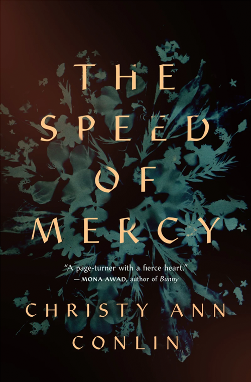 The Speed of Mercy book cover