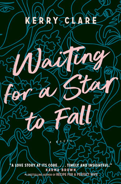 Waiting for a Star to Fall book cover