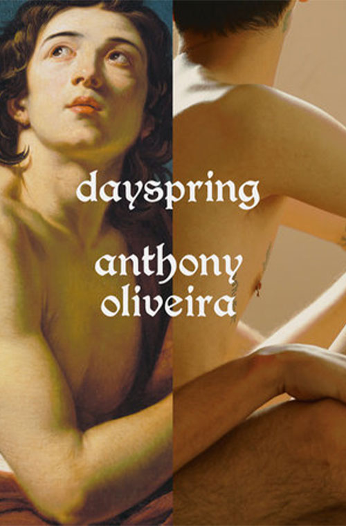 Dayspring book cover