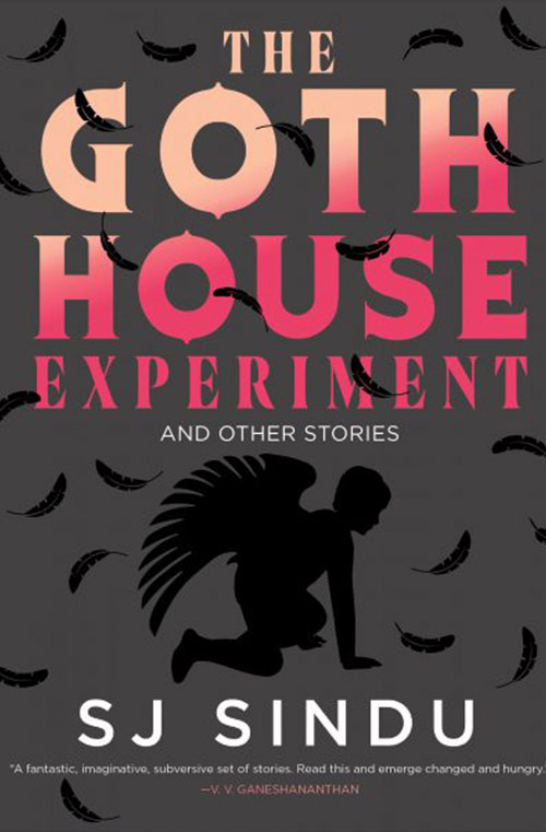 The Goth House Experiment book cover