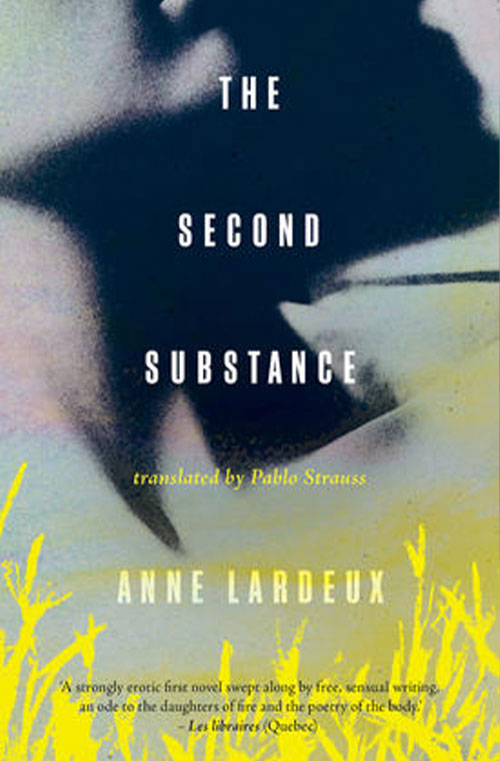 The Second Substance book cover