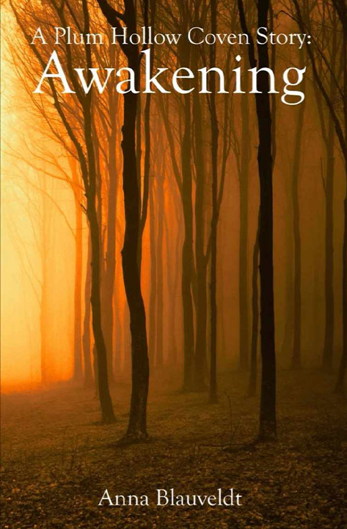 Awakening book cover