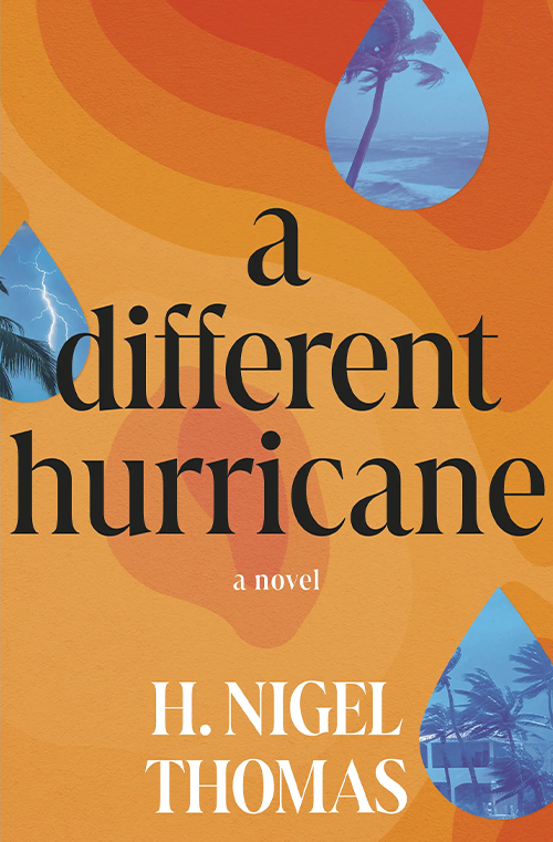 A Different Hurricane book cover