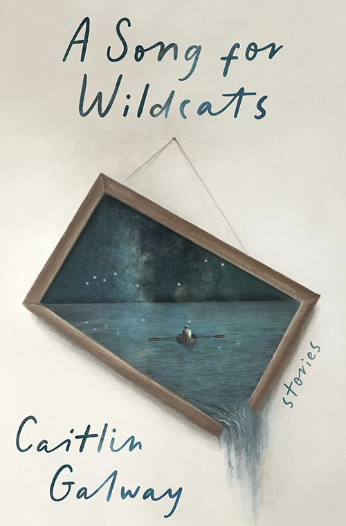 A Song for Wildcats book cover