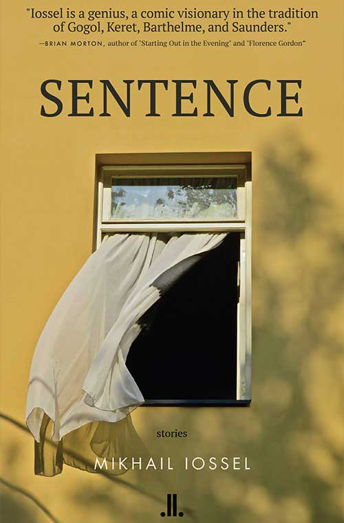 Sentence book cover