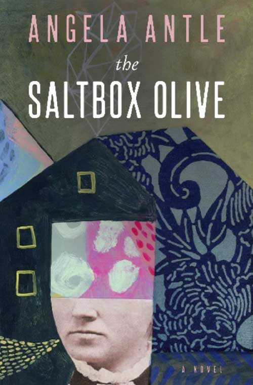 The Saltbox Olive book cover