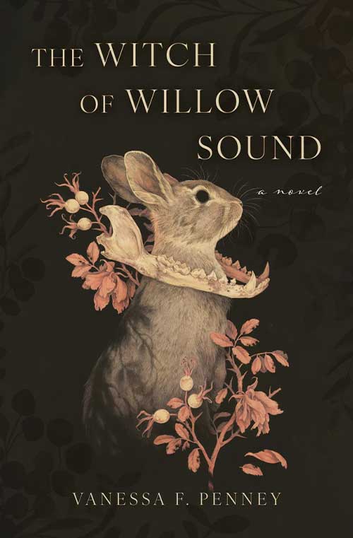 The Witch of Willow Sound book cover