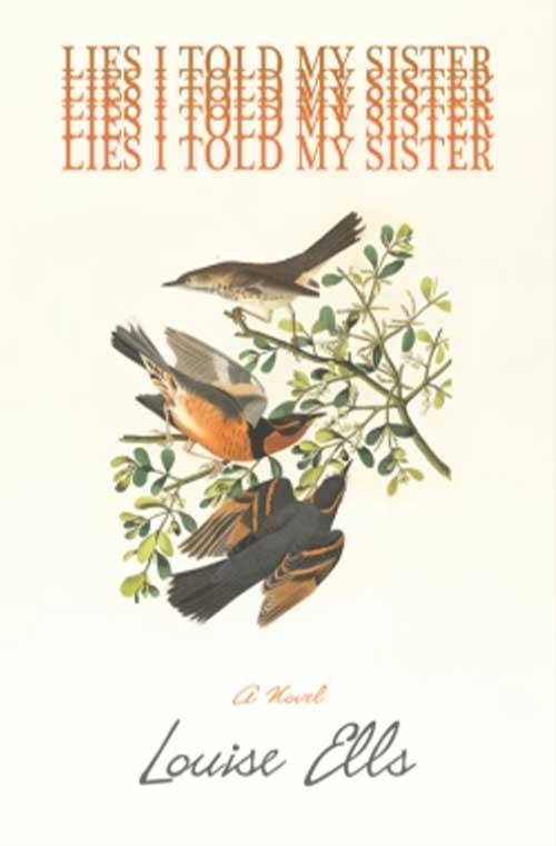 Lies I Told My Sister book cover